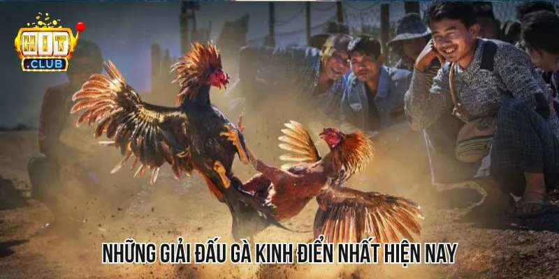 Giải đấu gà kinh điển nhất định người chơi nên tham gia trải nghiệm Giải đấu gà kinh điển nhất định người chơi nên tham gia trải nghiệm
