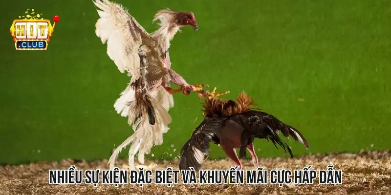 Các sự kiện đặc biệt còn thường xuyên được tổ chức Các sự kiện đặc biệt còn thường xuyên được tổ chức