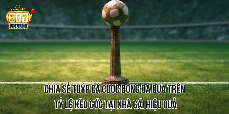 Chia sẻ tuýp cá cược bóng đá dựa trên tỷ lệ kèo góc tại nhà cái hiệu quả Chia sẻ tuýp cá cược bóng đá dựa trên tỷ lệ kèo góc tại nhà cái hiệu quả