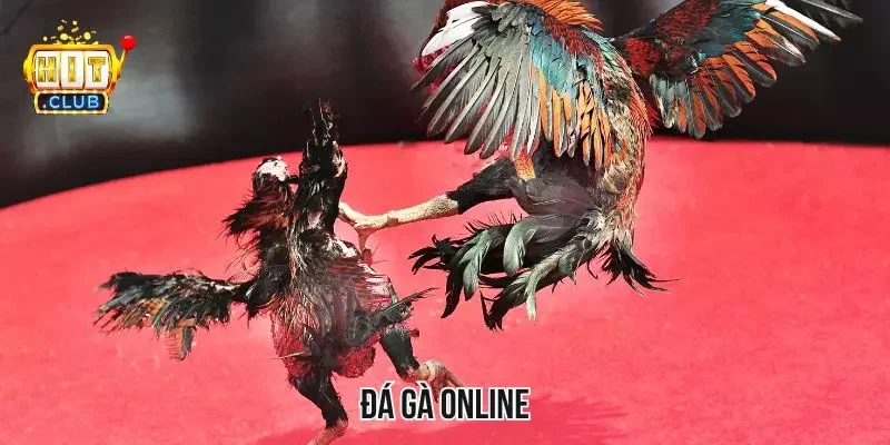Đá Gà Online