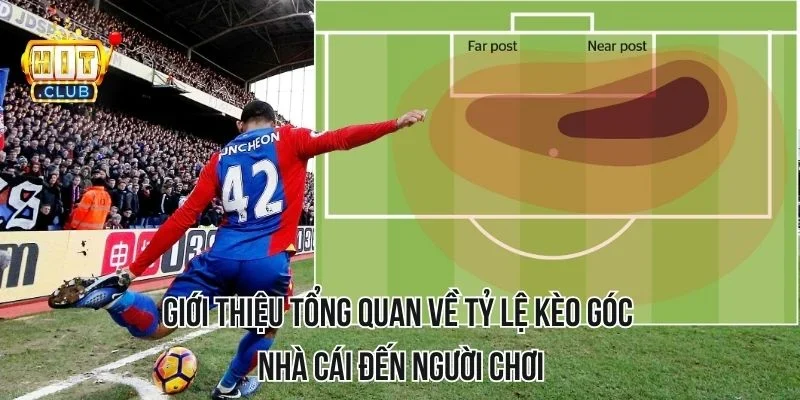 Giới thiệu tổng quan về tỷ lệ kèo góc nhà cái đến người chơi Giới thiệu tổng quan về tỷ lệ kèo góc nhà cái đến người chơi