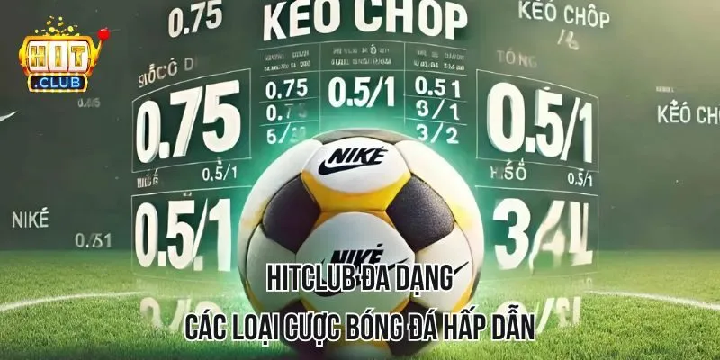 HITCLUB đa dạng các loại cược bóng đá hấp dẫn HITCLUB đa dạng các loại cược bóng đá hấp dẫn