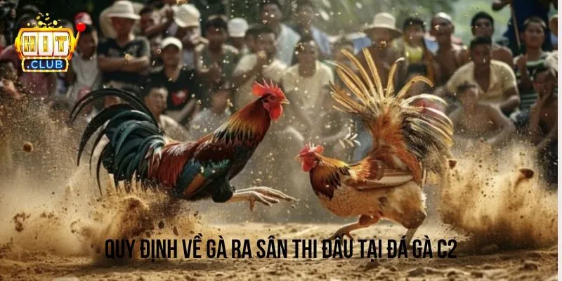 Luật thi đấu của gà ra sân tại trường thi đấu gà C2 Luật thi đấu của gà ra sân tại trường thi đấu gà C2