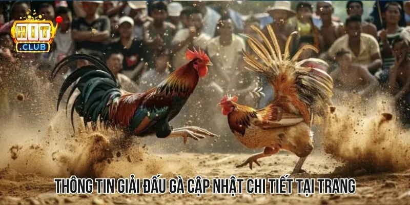 Các thông tin về giải đấu gà được cập nhật chi tiết tại trang web Các thông tin về giải đấu gà được cập nhật chi tiết tại trang web