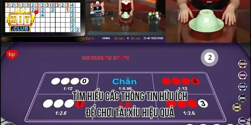Tìm hiểu các thông tin hữu ích để chơi tài xỉu hiệu quả Tìm hiểu các thông tin hữu ích để chơi tài xỉu hiệu quả